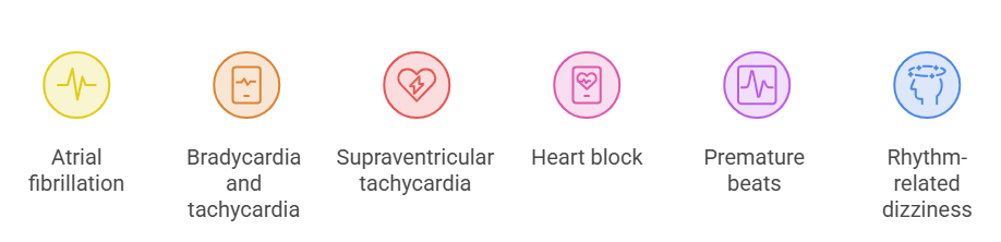 Icons showing heart rhythm conditions a Holter monitor can detect: atrial fibrillation, bradycardia, tachycardia, heart block, premature beats, and dizziness